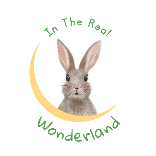 Play based learning and teaching with Alice Campbell Independent Teacher. Logo for In The Real Wonderland with a cute, wild rabbit sitting in the crest of a crescent moon.