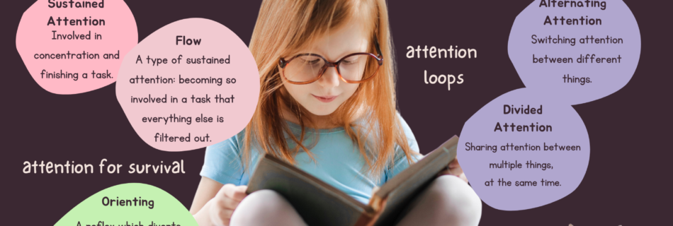 A young child paying attention to a book. The text lists different types of attention including sustained attention, flow, orienting, alternating attention and divided attention. Sustained attention and flow are grouped as being important to improve a child's attention for learning and wellbeing.